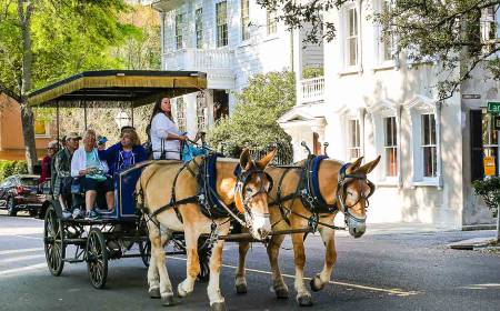 Charleston city’s history