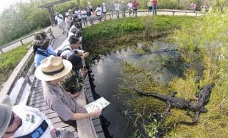 Everglades National Park