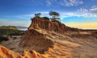 Torrey Pines State Natural Reserve