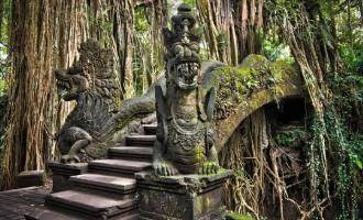 Ubud Monkey Forest