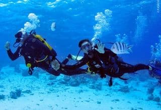 Snorkeling and scuba diving
