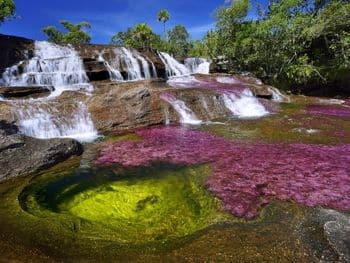 Caño Cristales