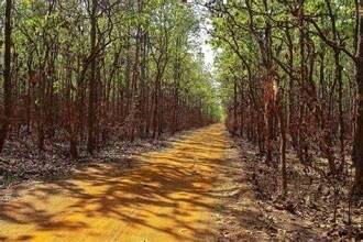 Garh Jungle Durgapur