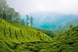 Munnar kerala - Lowest Flight Fares Munnar