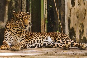 Siddharth Garden and Zoo Aurangabad 