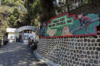 Padmaja Naidu Zoological Park Darjeeling