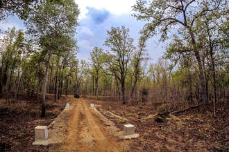 Nagzira Wildlife Sanctuary Nagpur