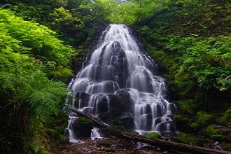 Chadwick Falls Shimla