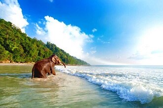 Elephant Beach Andaman