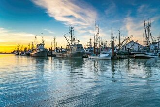 Royapuram Fishing Harbor Chennai