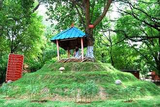 TNAU Botanical Garden Coimbatore