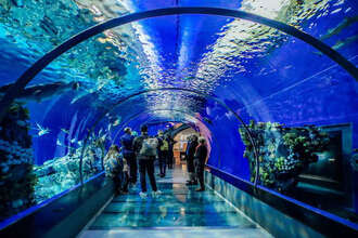 Bangalore Aquarium 