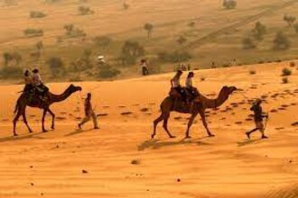 Desert National Park Jaisalmer