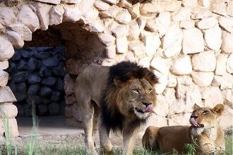 Lucknow Zoo