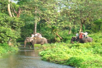 Manali Sanctuary 