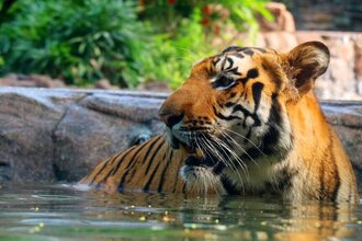 Mumbai Zoo 