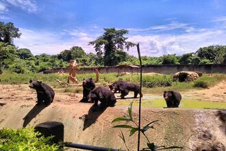 Nagaland Zoological Park Dimapur - Lowest Flight Fares Nagaland Zoological Park Dimapur