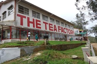 Tea Museum Ooty