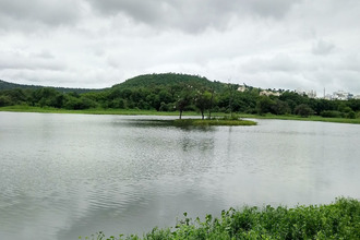 Pashan Lake Pune