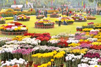 Terraced Garden Chandigarh