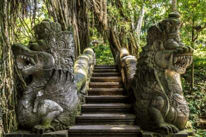 Ubud Monkey Forest Bali