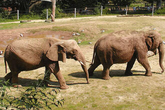 Cotigao Wildlife Sanctuary Goa