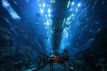 Acuario y Zoológico Submarino de Dubái