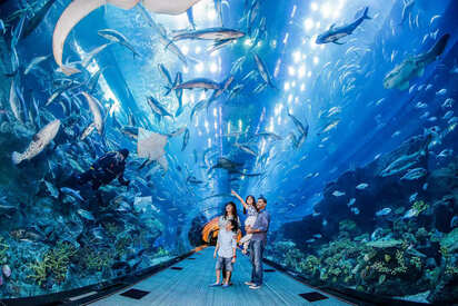 Acuario y Zoológico debajo agua Dubai