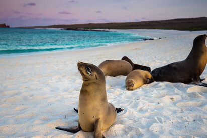 Bahia-Tortuga-Santa-Cruz-Galapagos