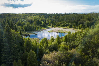 Beaver Hills Canada