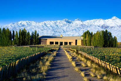 Bodegas Salentein Mendoza 