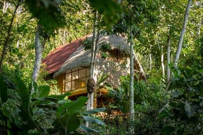 Bosque Guardian Lodge tarapoto