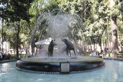 Coyocán México