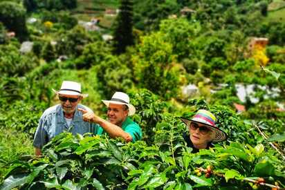 Tour de Café Bogota