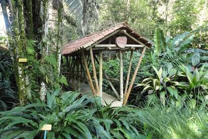 Jardín Botánico San Jorge Ibagué