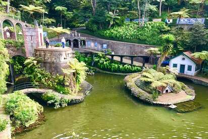 Jardín tropical del palacio Monte Madeira 