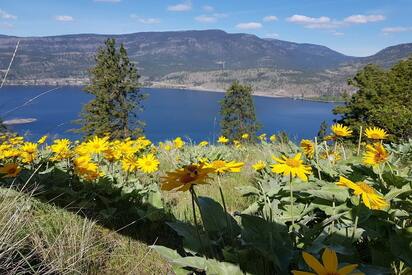 Knox Mountain Park Canada