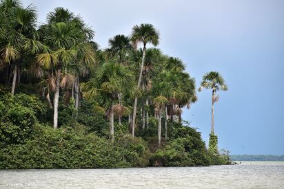 Lago Ginebra