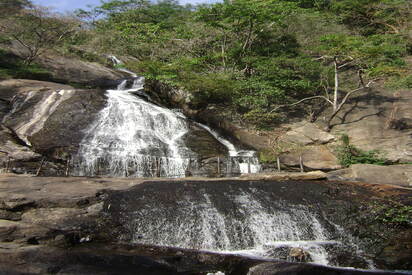 Monkey Falls coimbatore - Lowest Flight Fares Monkey Falls coimbatore