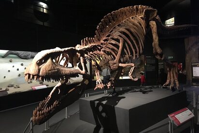 Museo Paleontológico Egidio Feruglio Trelew 