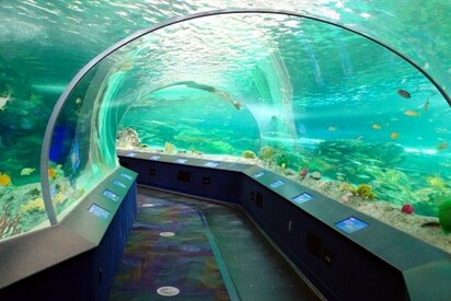 New England Aquarium Boston - Lowest Flight Fares New England Aquarium Boston