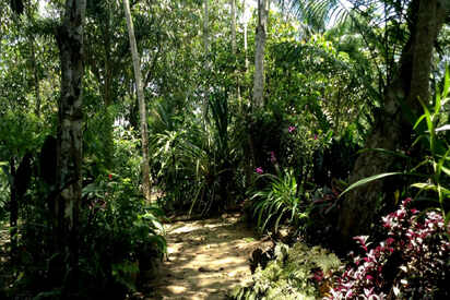 Parque-Ecologico-Mundo-Amazonico-Leticia