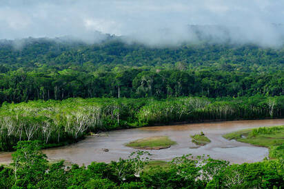 Parque-Nacional-Madidi-Rurrenabaque- - Lowest Flight Fares Parque Nacional Madidi