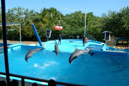 Parque Temático Manatí Punta Cana