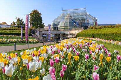 Phipps Conservatory Pittsburgh