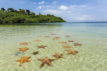 Playa Estrella Bocas del Toro - Lowest Flight Fares Playa Estrella Bocas del Toro