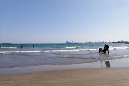 Playa Villa Del Mar Veracruz 