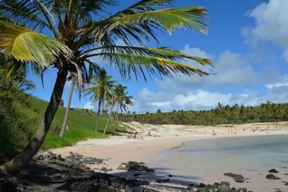 Playa de Anakena Rapa Nui - Lowest Flight Fares Playa de Anakena Rapa Nui
