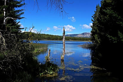 Reserva Nacional Coyhaique 