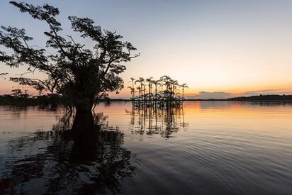 Reserva-de-vida-salvaje-de-Cuyabeno-Lago-Agrio